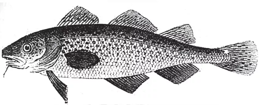 微信圖片_20211115135917.png 微信圖片_20211115135917.png