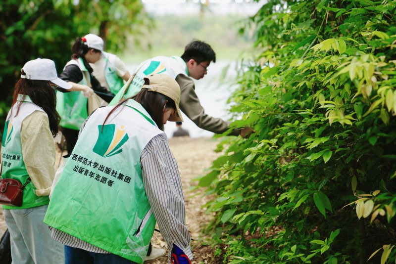 圖片30_副本.png 圖片30_副本.png